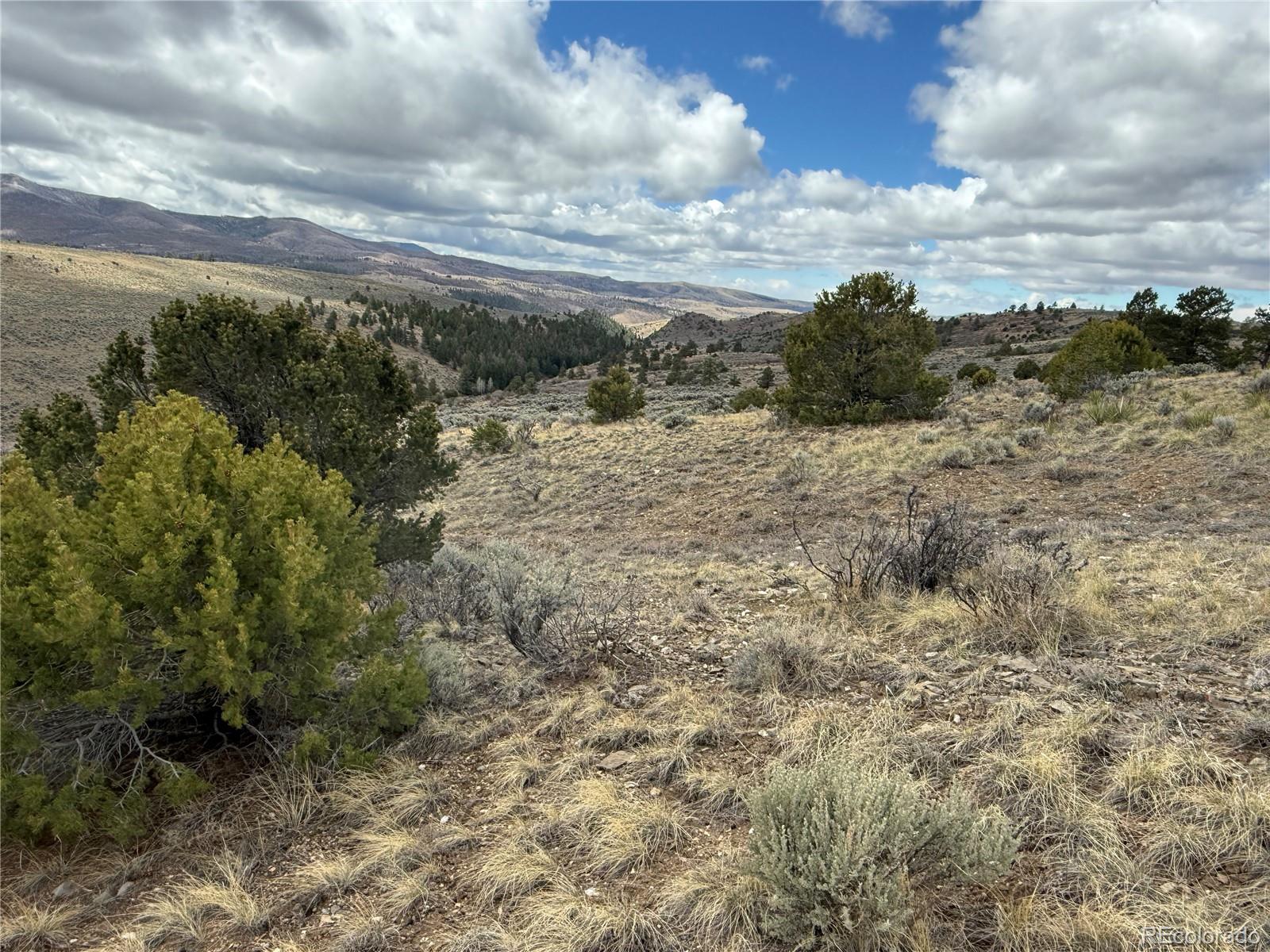 Lot 297 Boothby Lane Fort Garland CO 81133