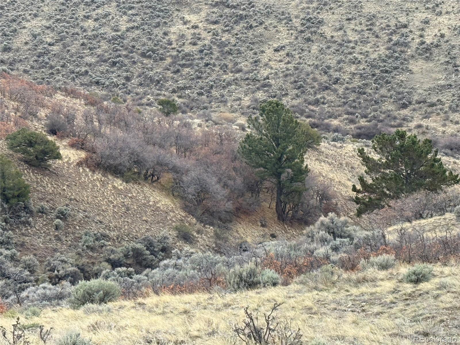 Lot 297 Boothby Lane Fort Garland CO 81133