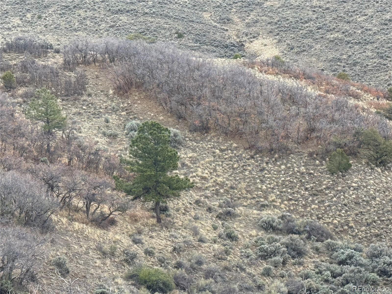 Lot 297 Boothby Lane Fort Garland CO 81133
