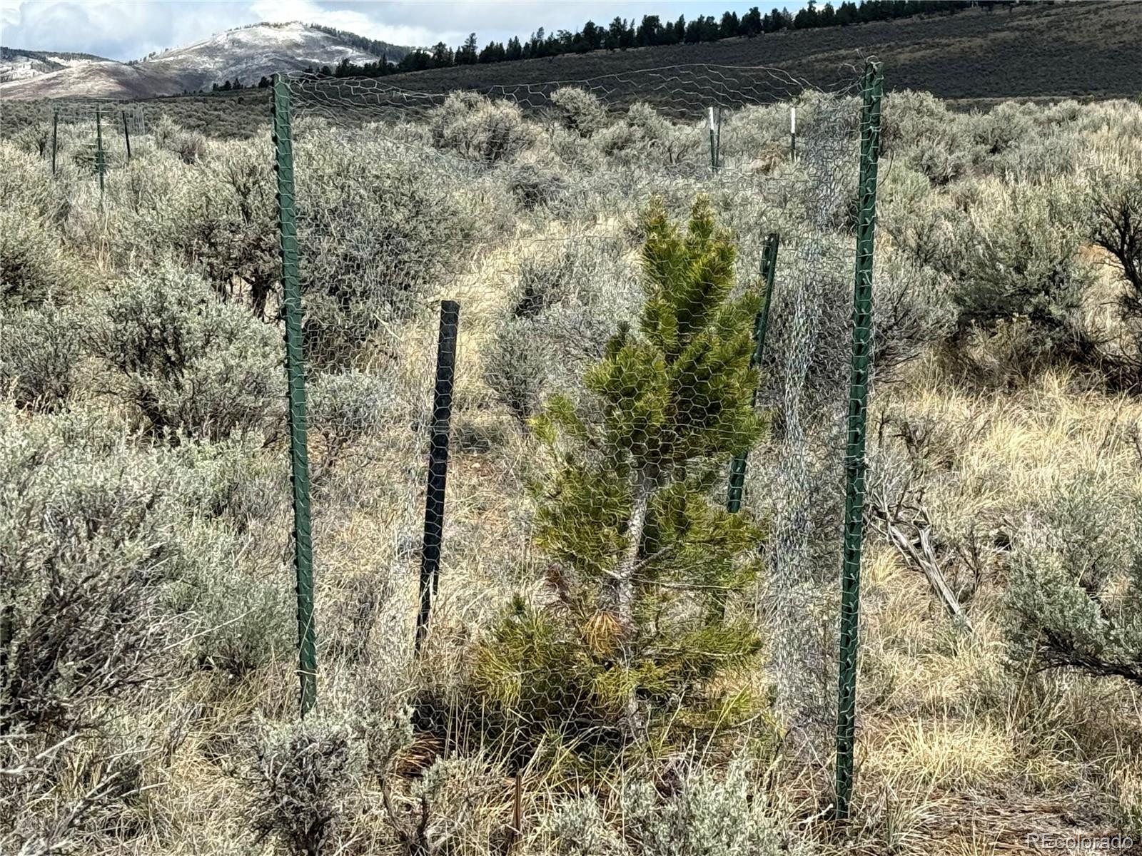 Lot 297 Boothby Lane Fort Garland CO 81133