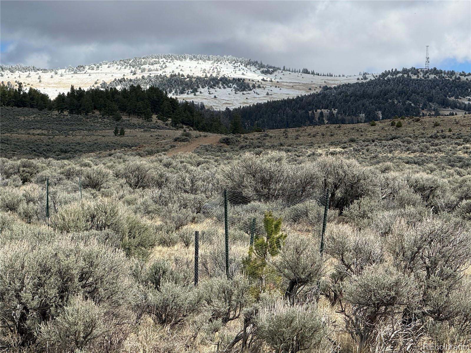 Lot 297 Boothby Lane Fort Garland CO 81133