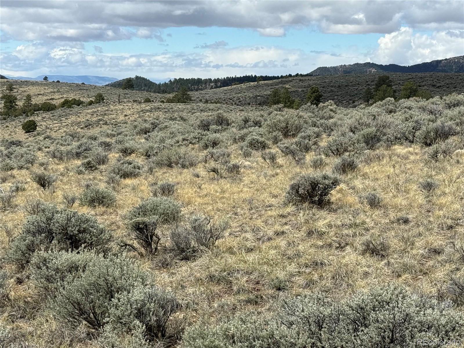 Lot 297 Boothby Lane Fort Garland CO 81133