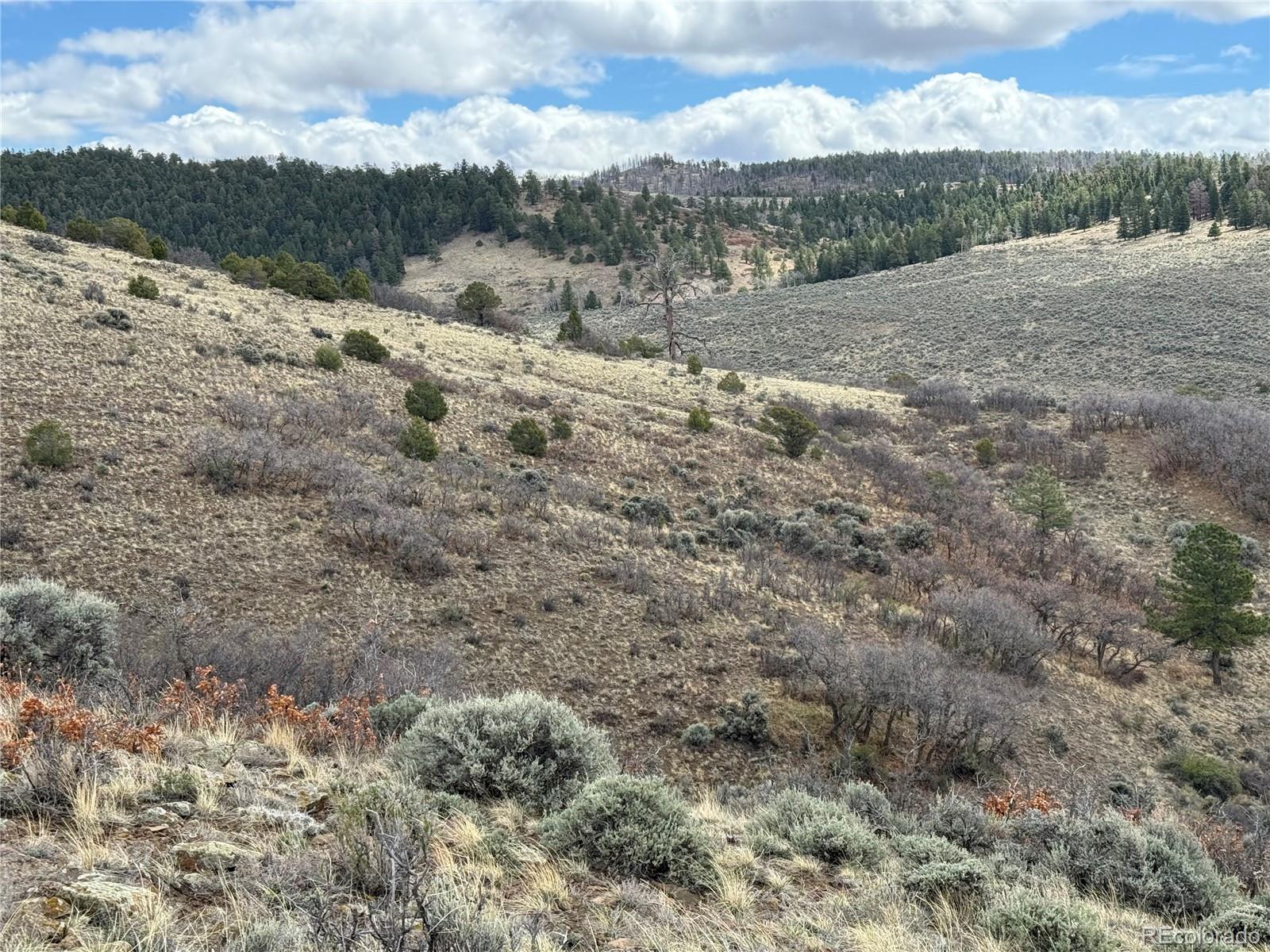 Lot 297 Boothby Lane Fort Garland CO 81133