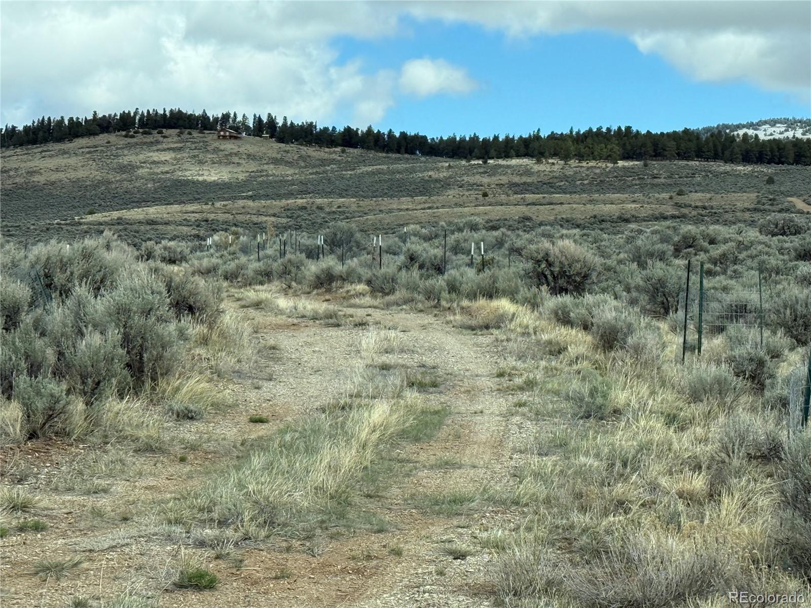 Lot 297 Boothby Lane Fort Garland CO 81133