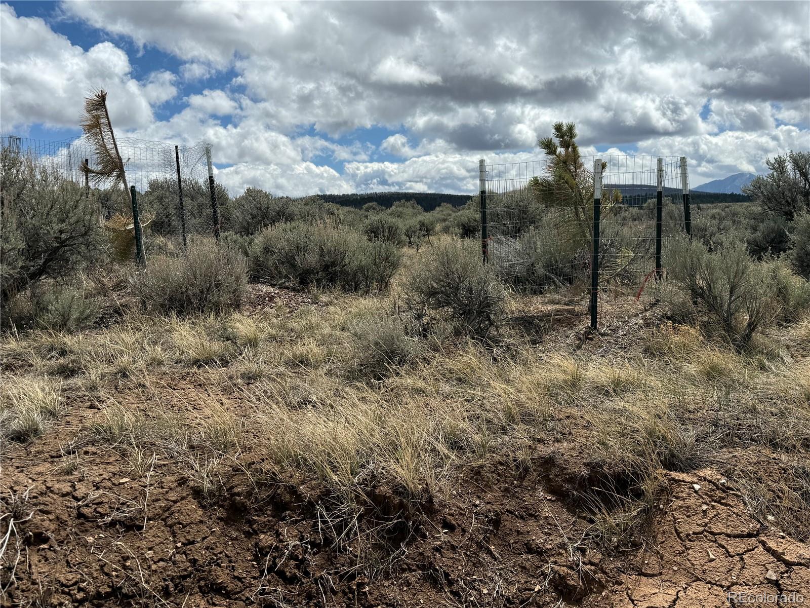 Lot 297 Boothby Lane Fort Garland CO 81133