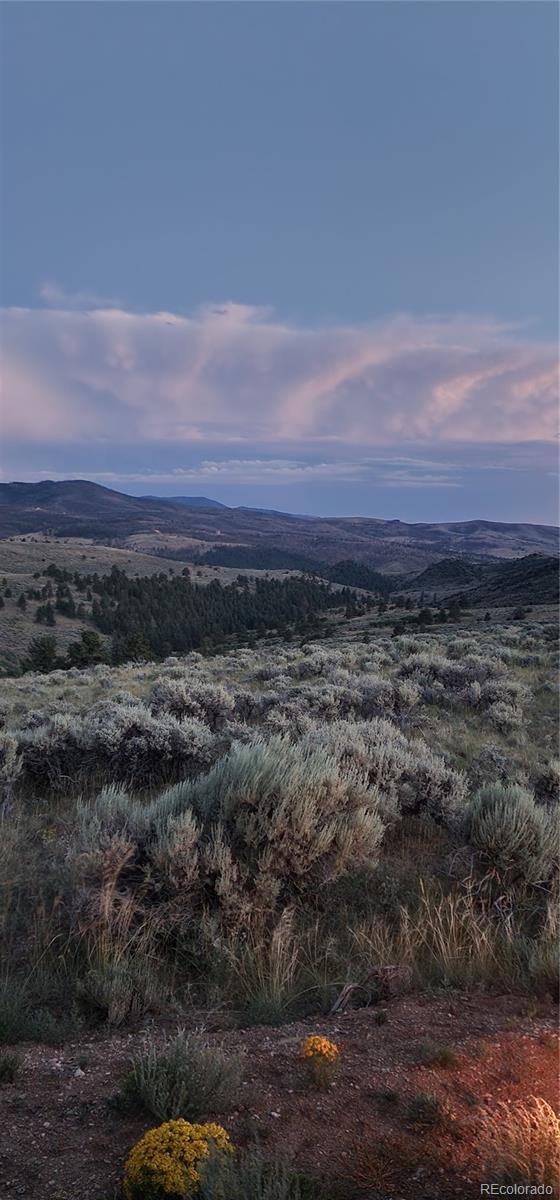 Lot 297 Boothby Lane Fort Garland CO 81133