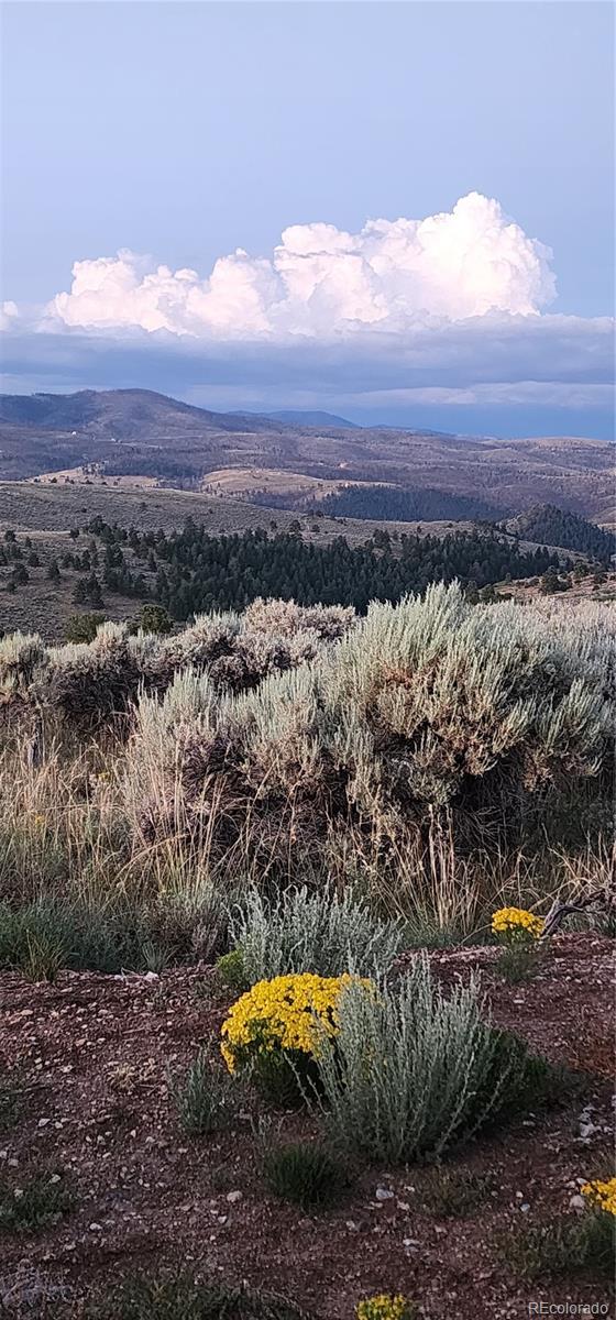 Lot 297 Boothby Lane Fort Garland CO 81133