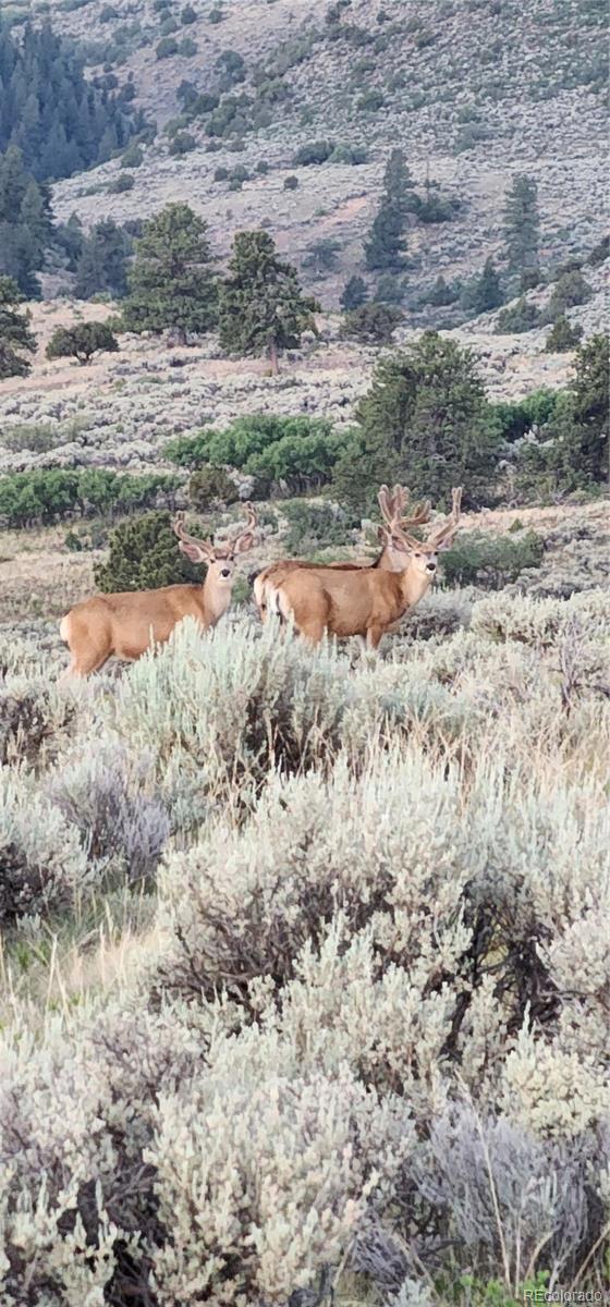Lot 297 Boothby Lane Fort Garland CO 81133
