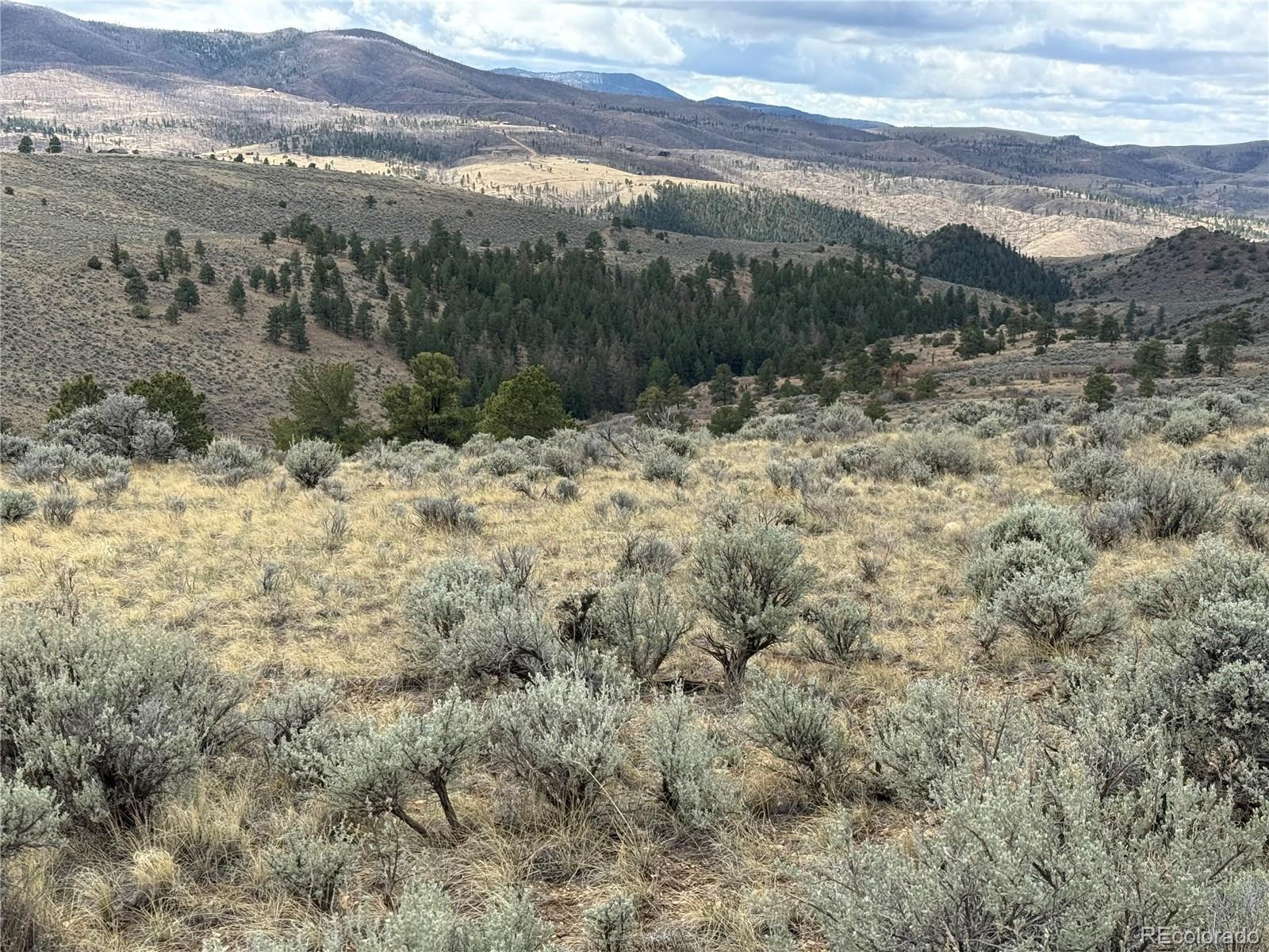 Lot 297 Boothby Lane Fort Garland CO 81133