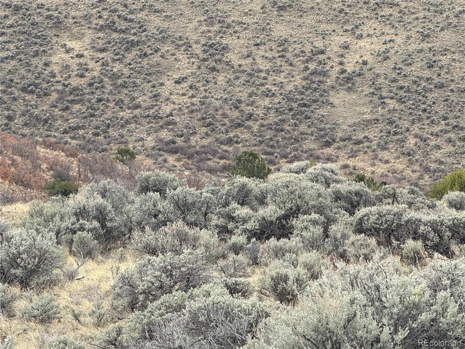 Lot 297 Boothby Lane Fort Garland CO 81133