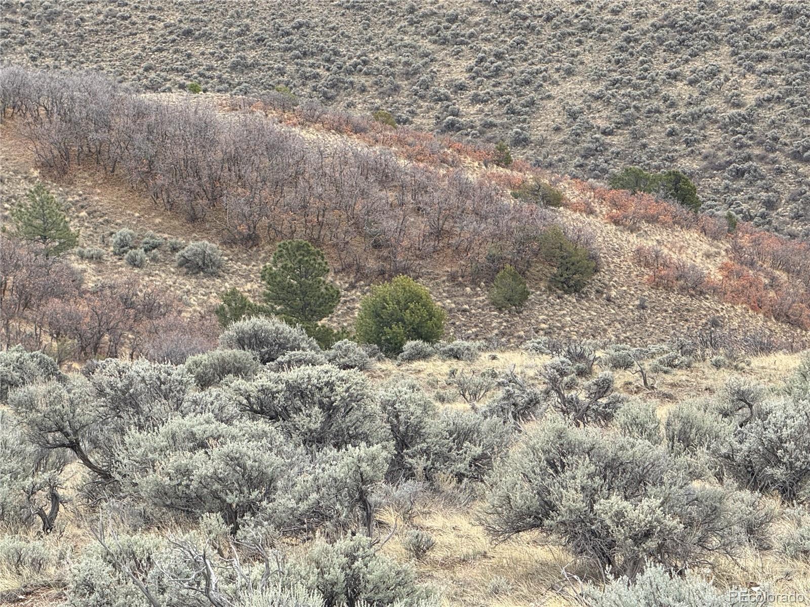 Lot 297 Boothby Lane Fort Garland CO 81133