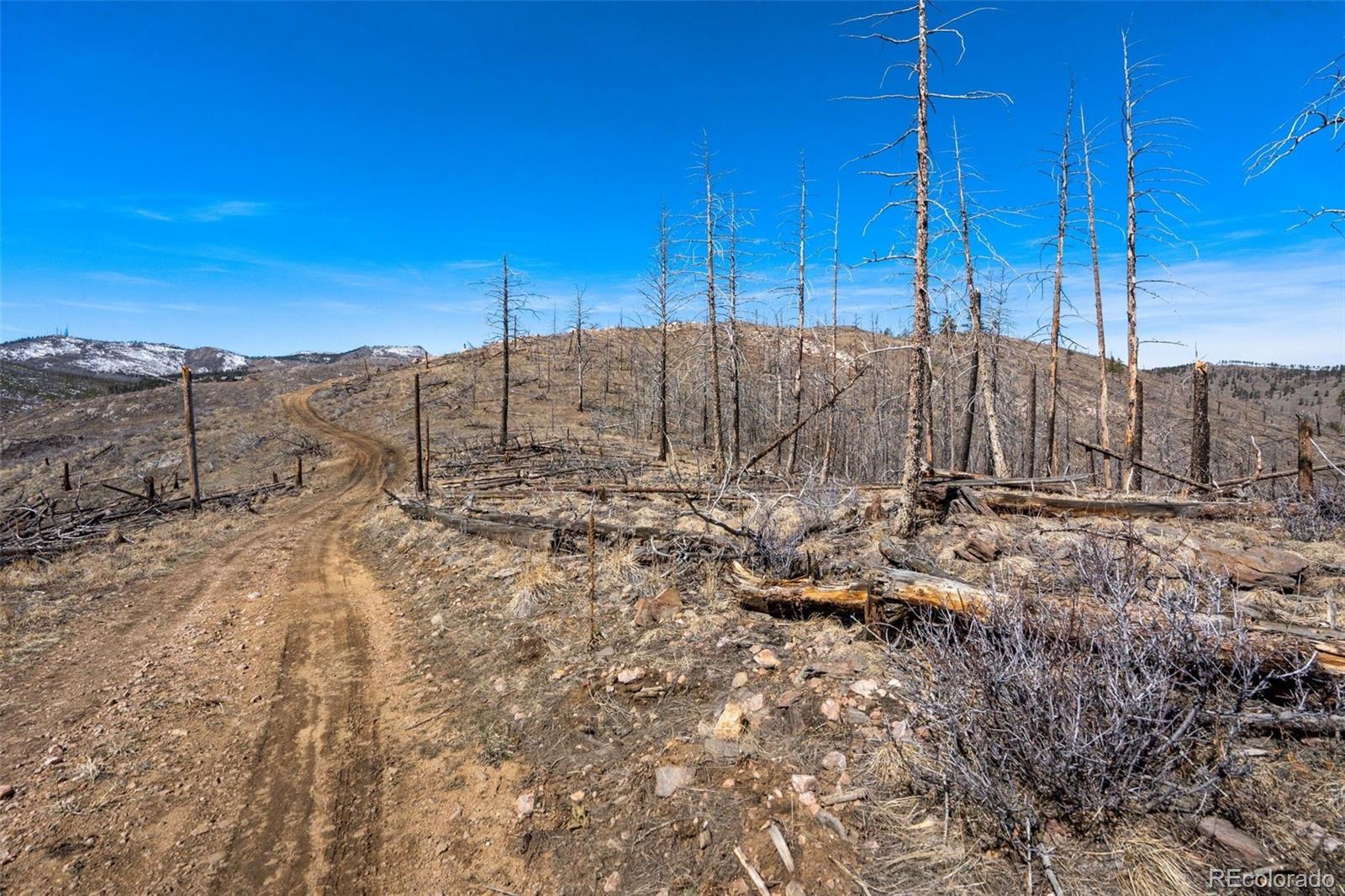 Rist Creek Road Bellvue CO 80512