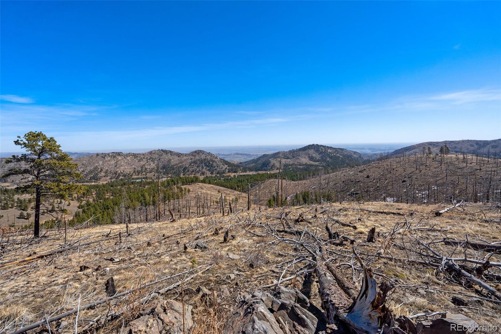 Rist Creek Road Bellvue CO 80512