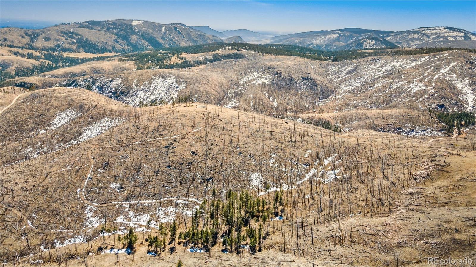 Rist Creek Road Bellvue CO 80512