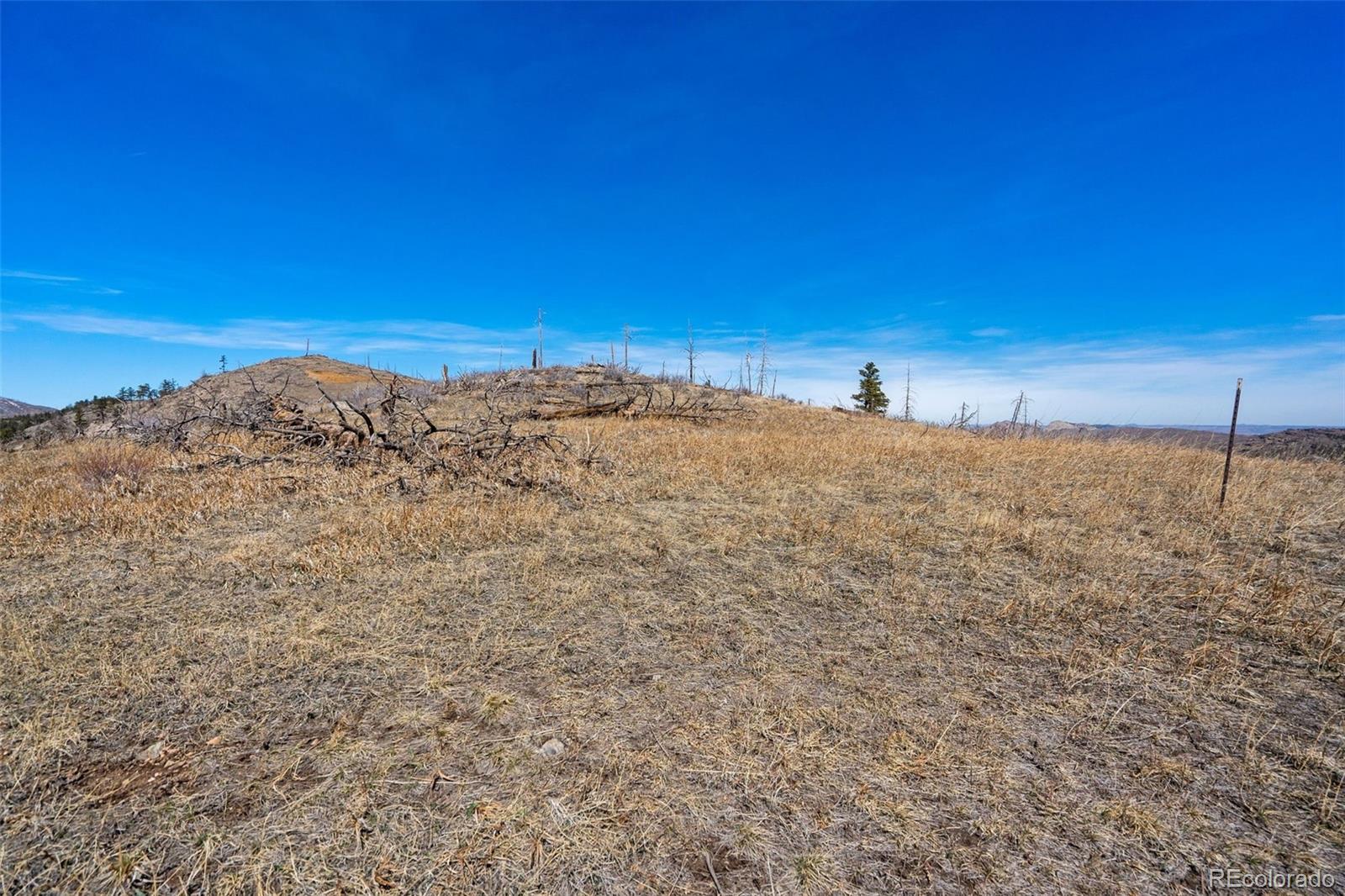 Rist Creek Road Bellvue CO 80512