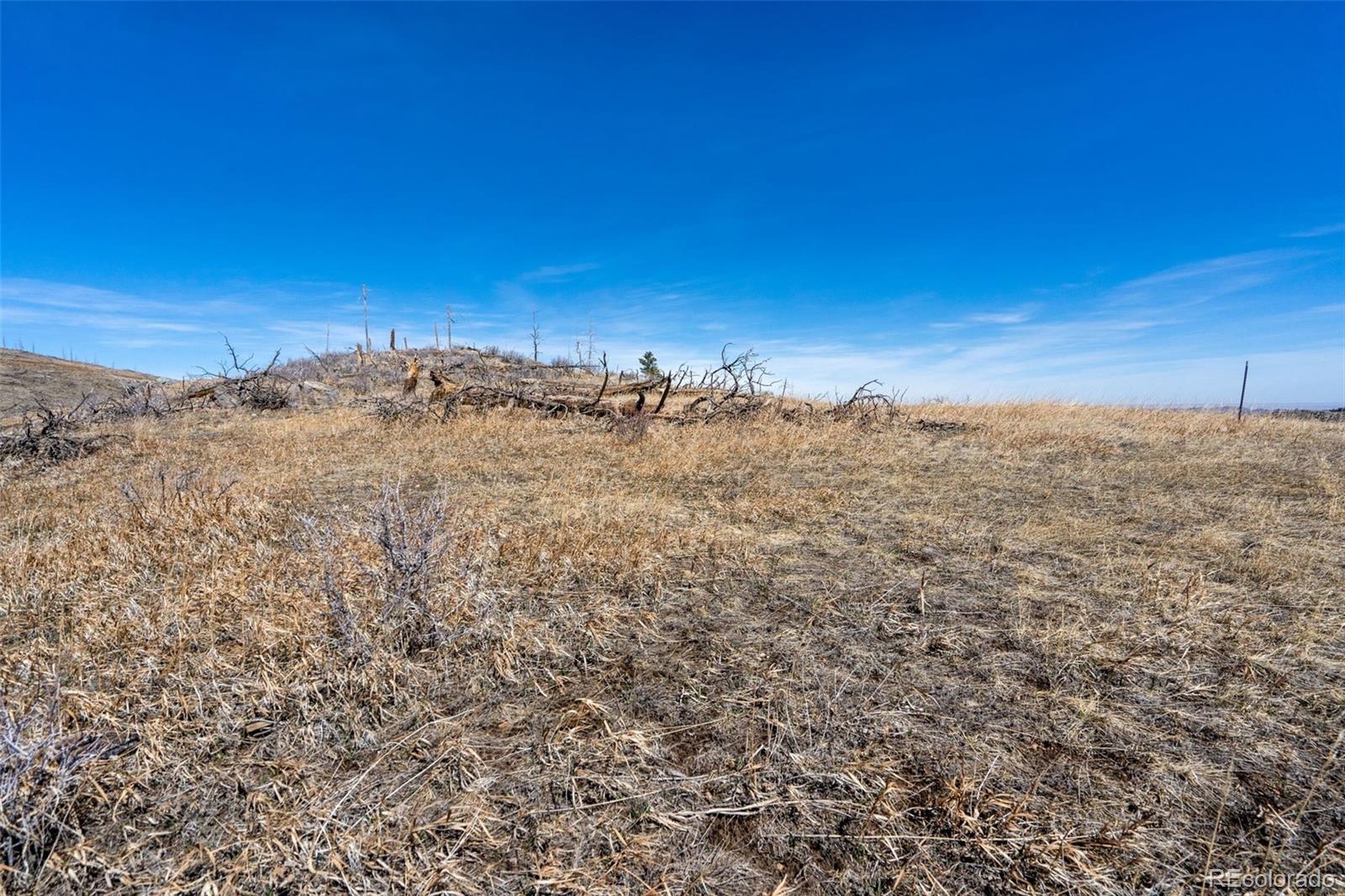 Rist Creek Road Bellvue CO 80512