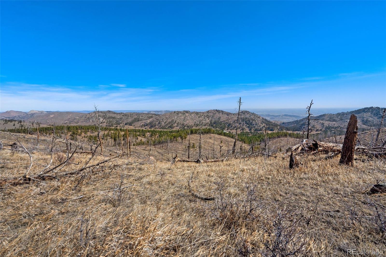 Rist Creek Road Bellvue CO 80512