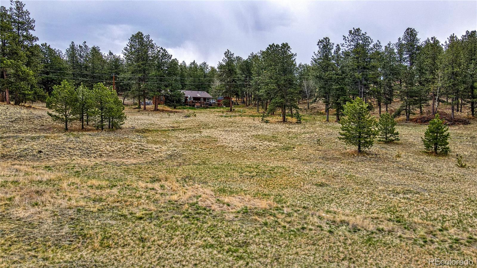 188 High Pasture Road Florissant CO 80816