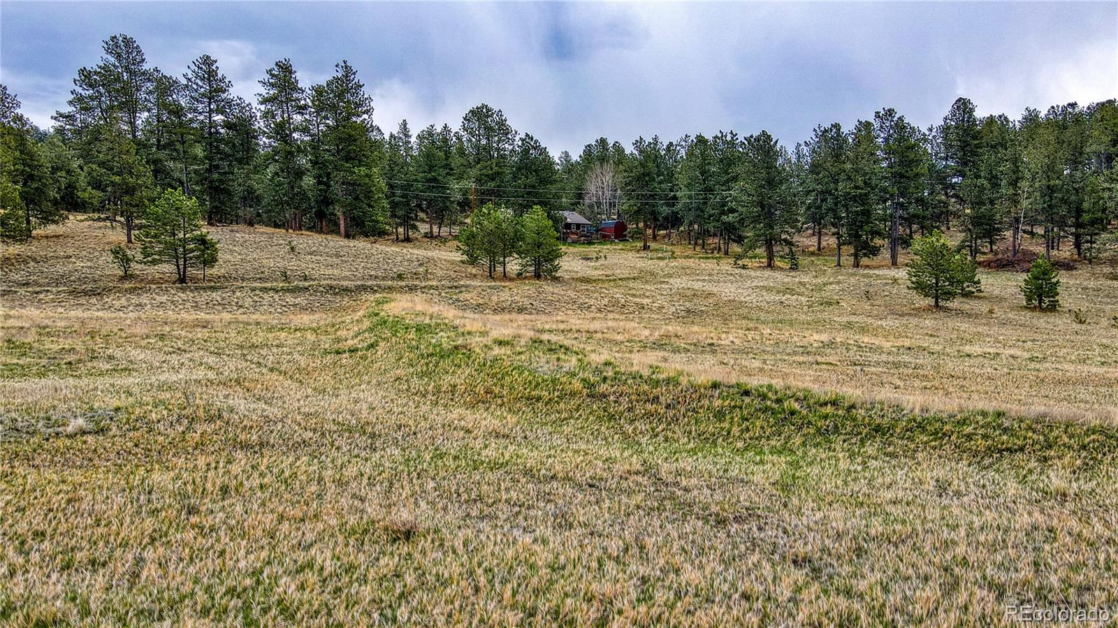 188 High Pasture Road Florissant CO 80816