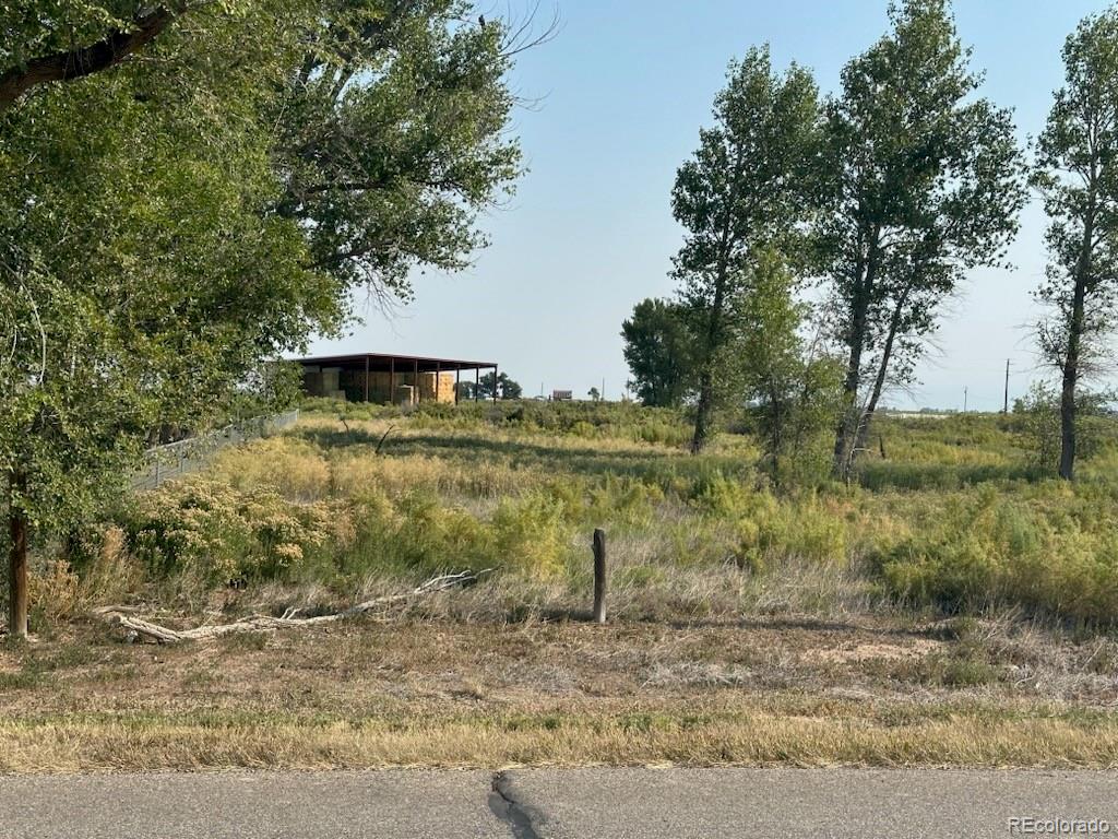 979 County Road 8 South Alamosa CO 81101