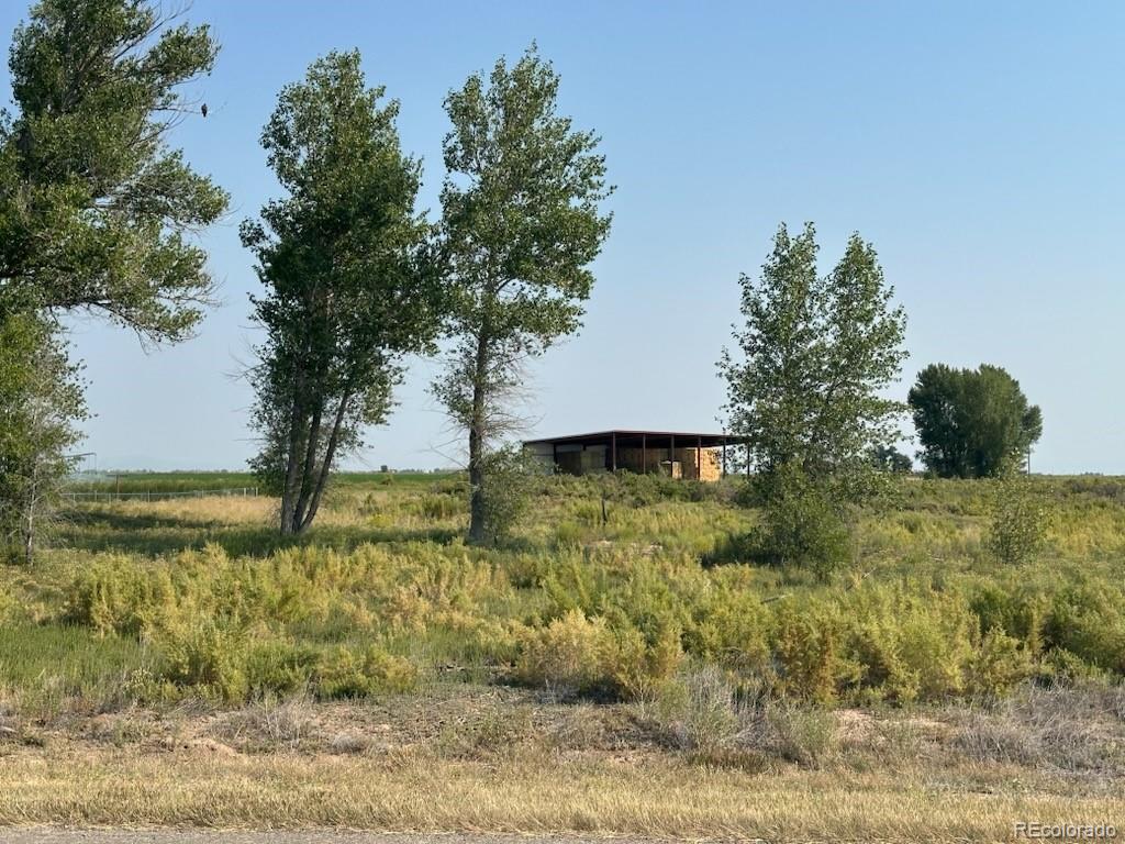979 County Road 8 South Alamosa CO 81101
