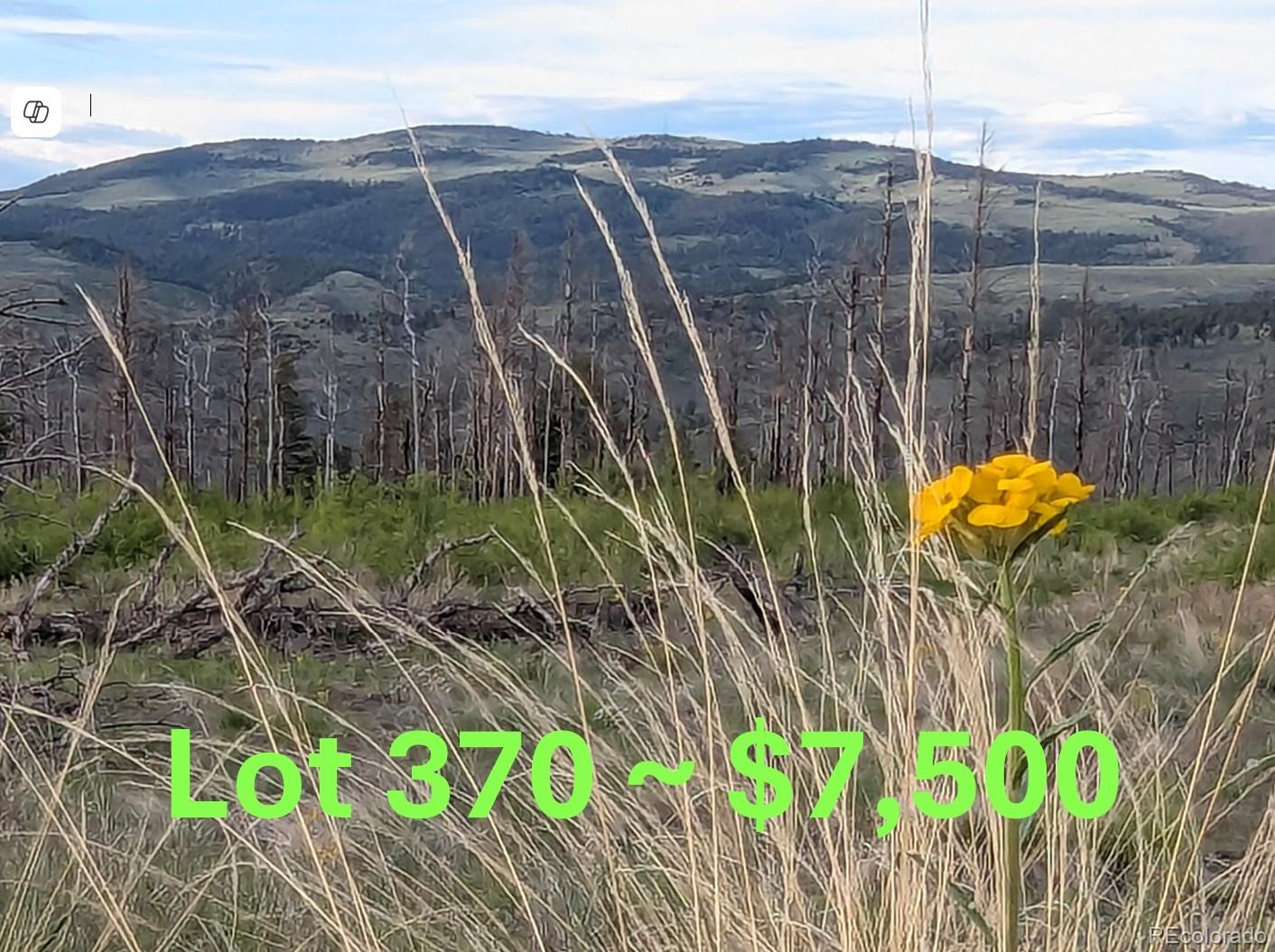 370 Soubry Place Fort Garland CO 81133