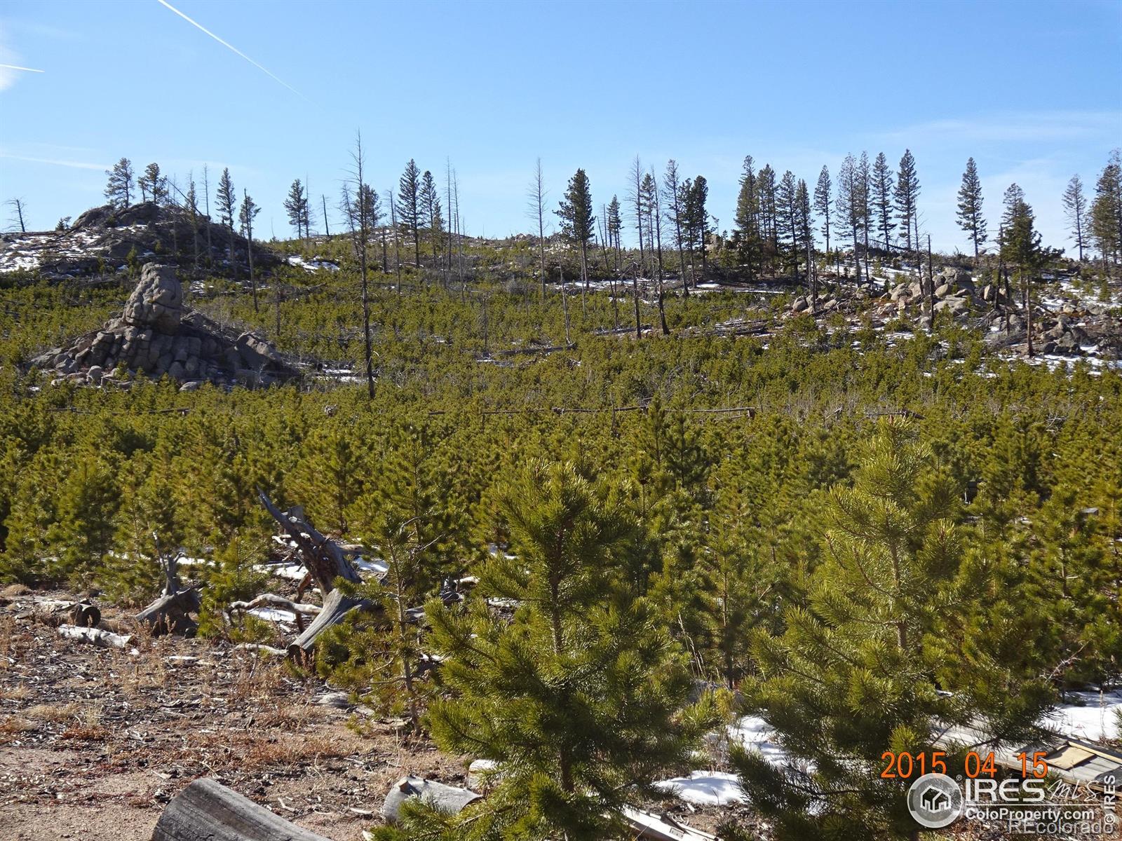 2315 Ridge Road Nederland CO 80466
