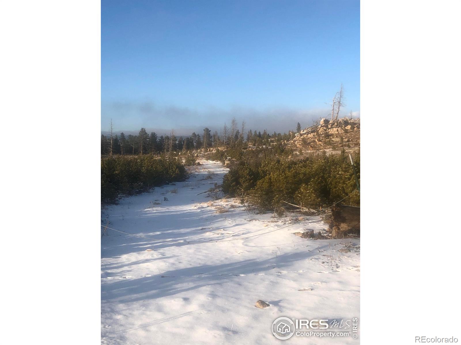 2315 Ridge Road Nederland CO 80466