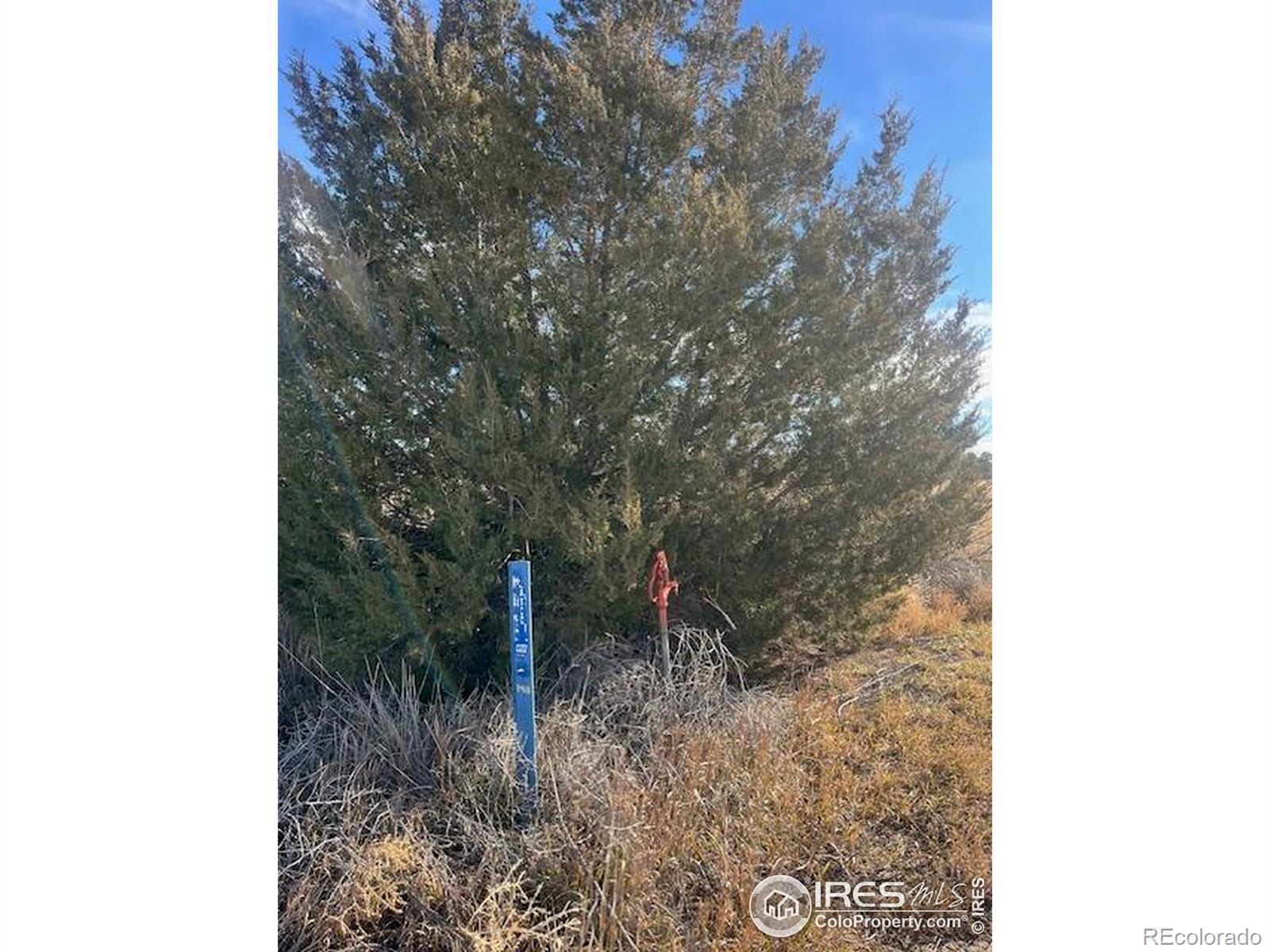 4820 County Rd H Wiggins CO 80654