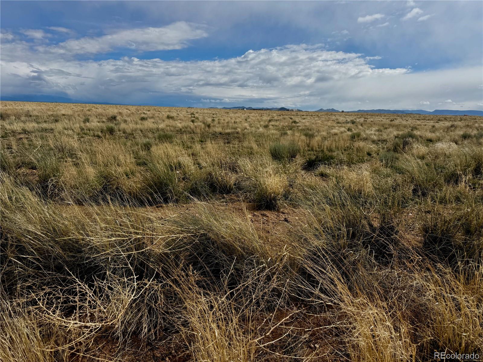 Lot 17 Dowd Road Blanca CO 81133
