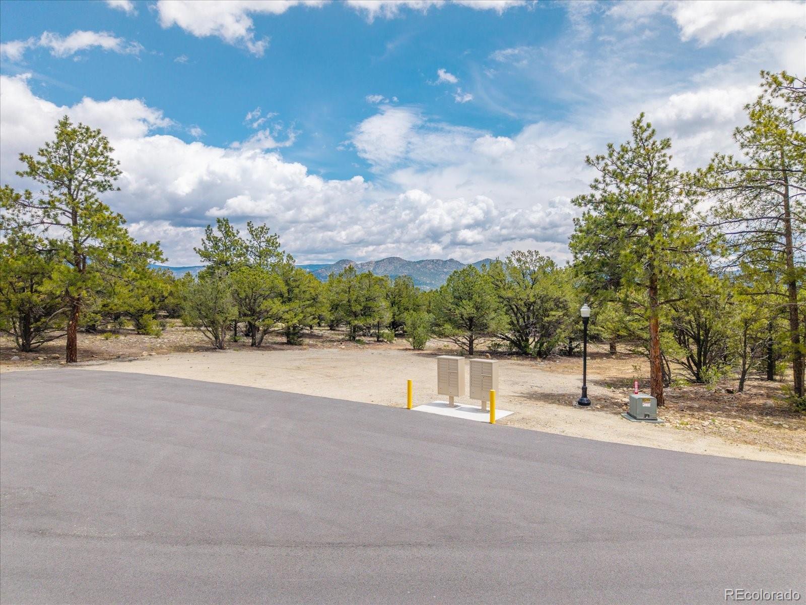 28922 Timber Ridge Buena Vista CO 81211