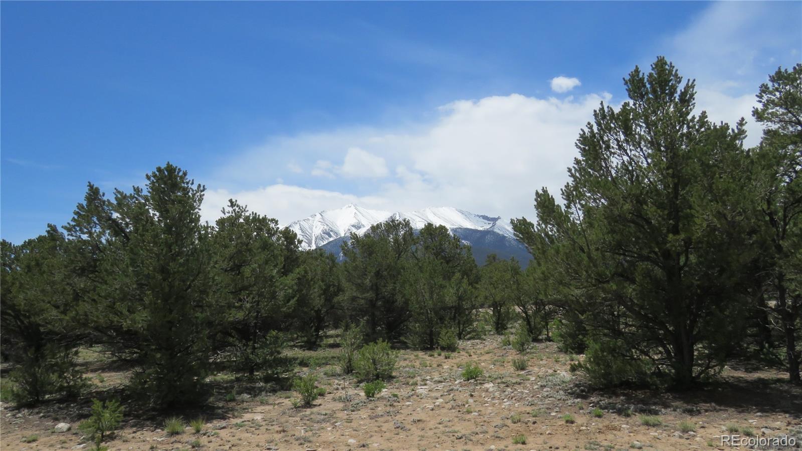 28922 Timber Ridge Buena Vista CO 81211