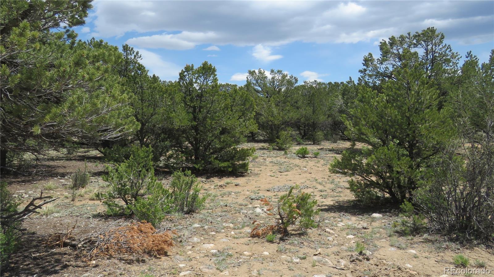 28922 Timber Ridge Buena Vista CO 81211