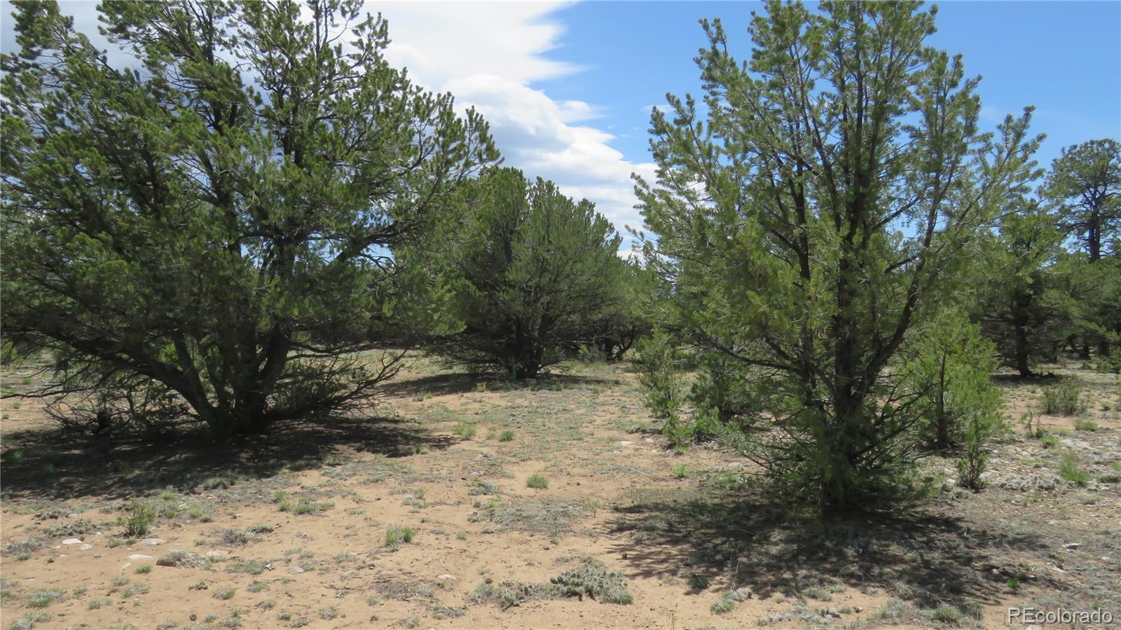 28922 Timber Ridge Buena Vista CO 81211