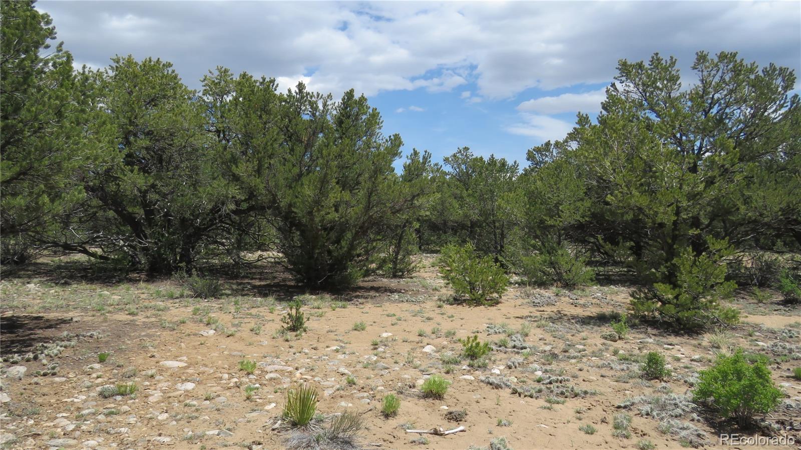 28922 Timber Ridge Buena Vista CO 81211