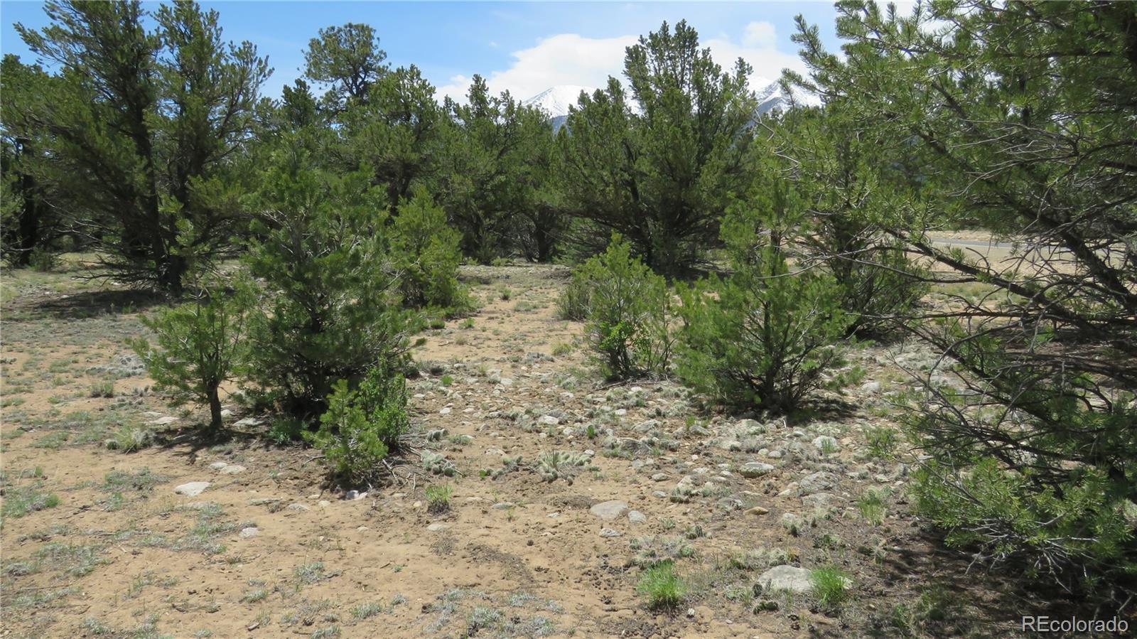 28922 Timber Ridge Buena Vista CO 81211