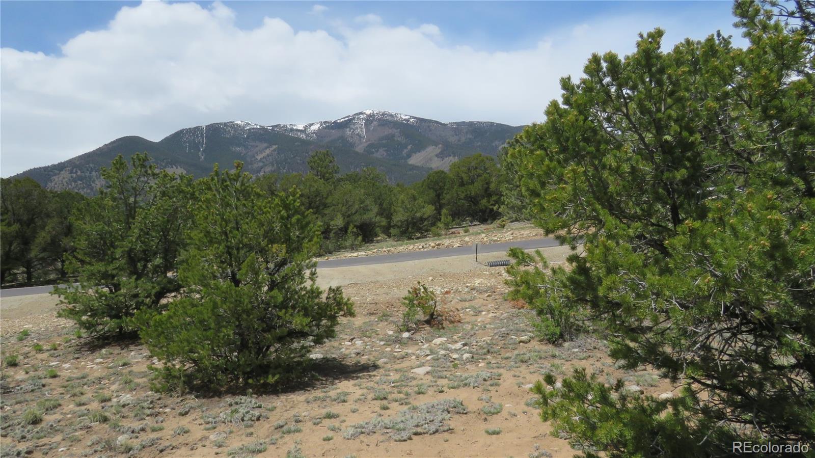 28922 Timber Ridge Buena Vista CO 81211