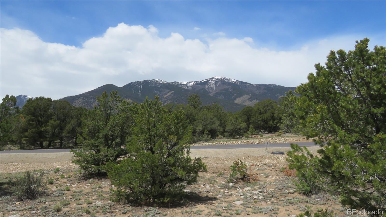 28922 Timber Ridge Buena Vista CO 81211