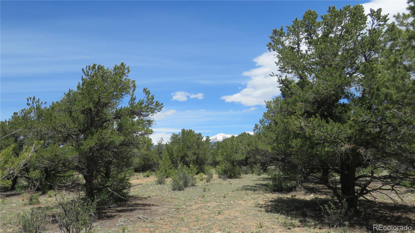 28922 Timber Ridge Buena Vista CO 81211