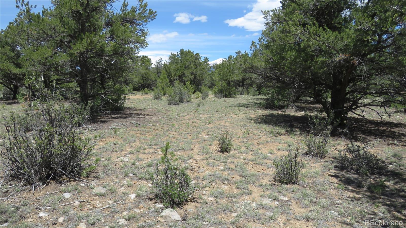 28922 Timber Ridge Buena Vista CO 81211