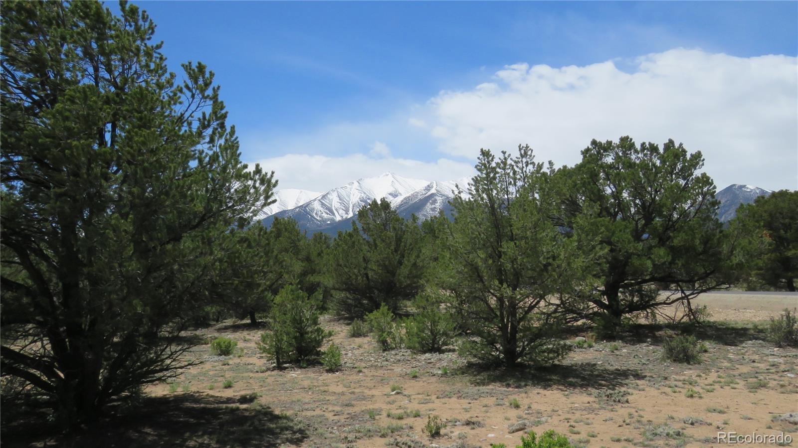 28922 Timber Ridge Buena Vista CO 81211