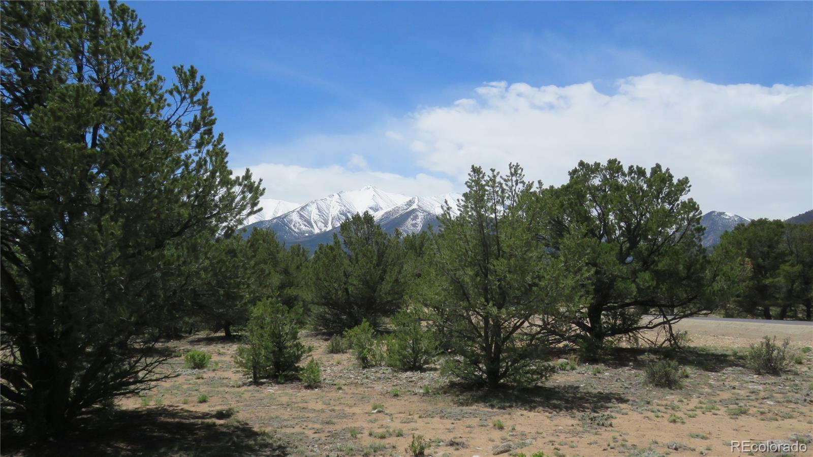 28922 Timber Ridge Buena Vista CO 81211