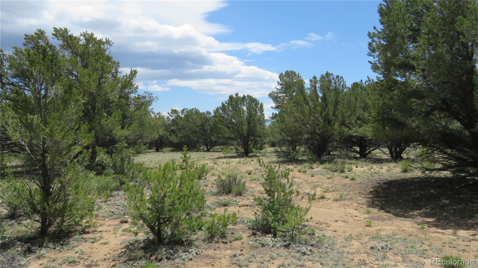 28922 Timber Ridge Buena Vista CO 81211