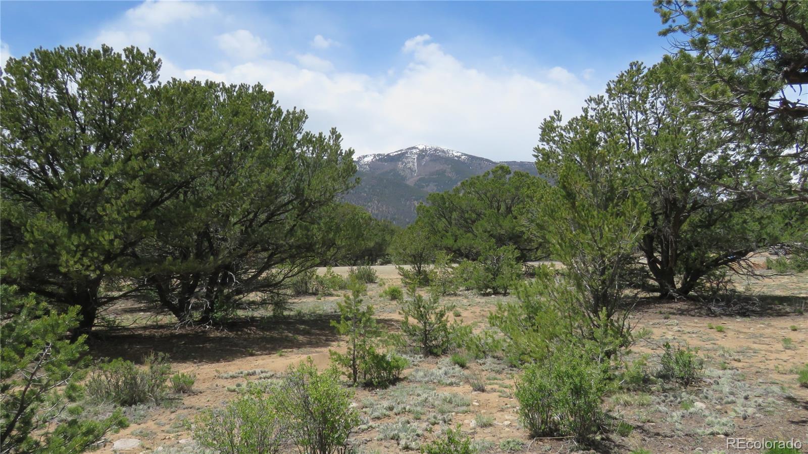 28922 Timber Ridge Buena Vista CO 81211