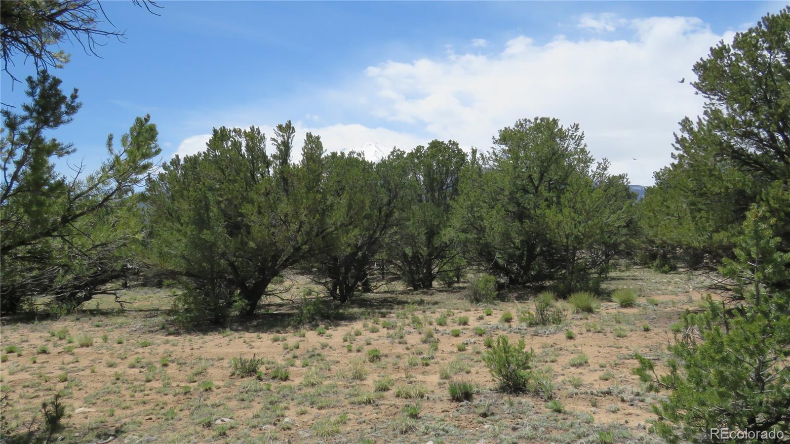 28922 Timber Ridge Buena Vista CO 81211