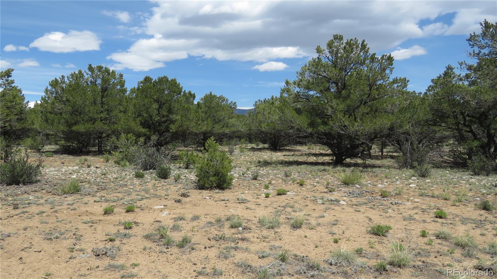 28922 Timber Ridge Buena Vista CO 81211