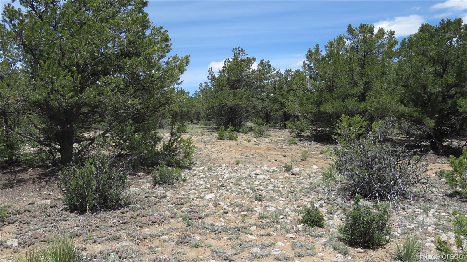 28922 Timber Ridge Buena Vista CO 81211