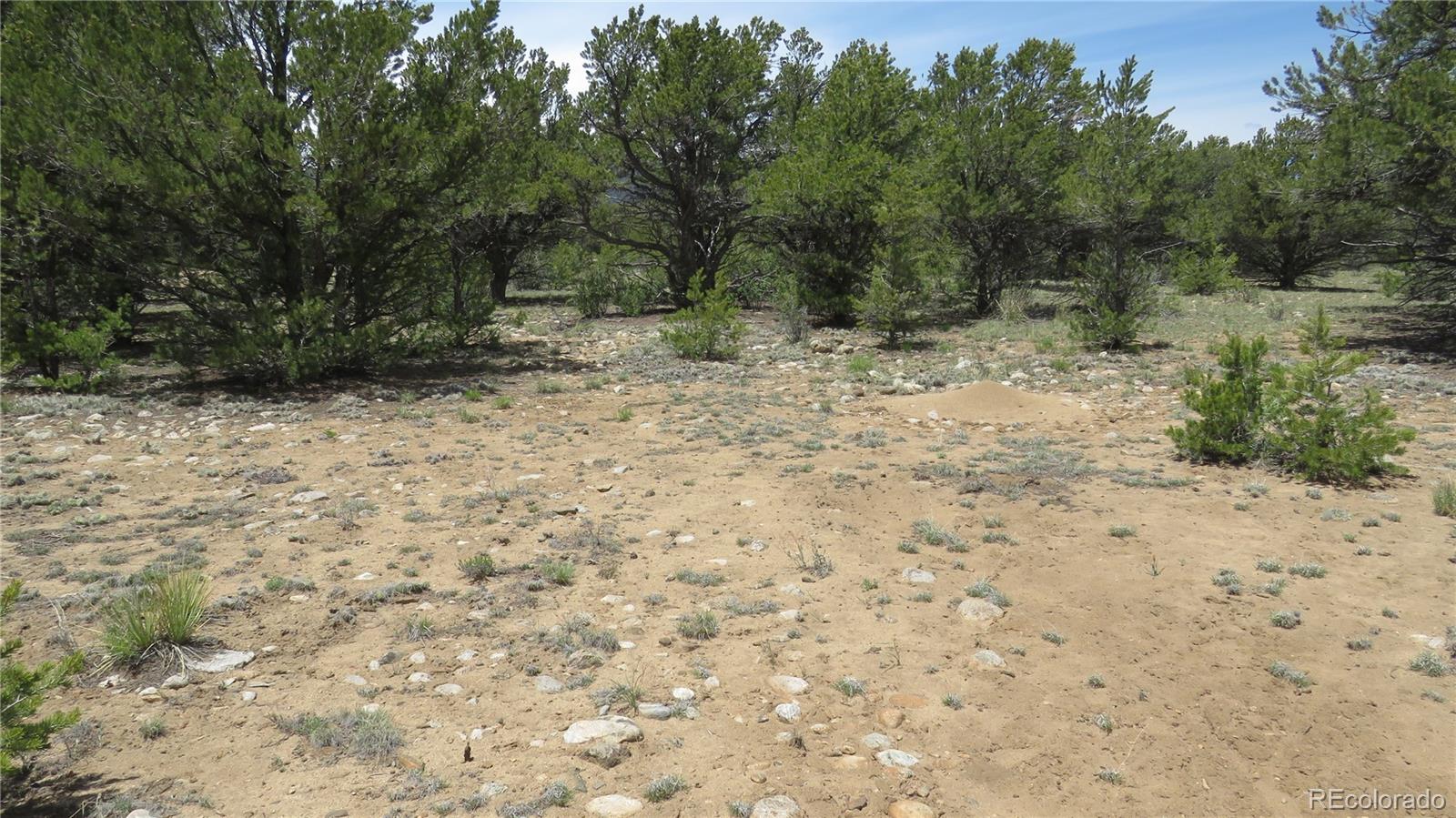 28922 Timber Ridge Buena Vista CO 81211