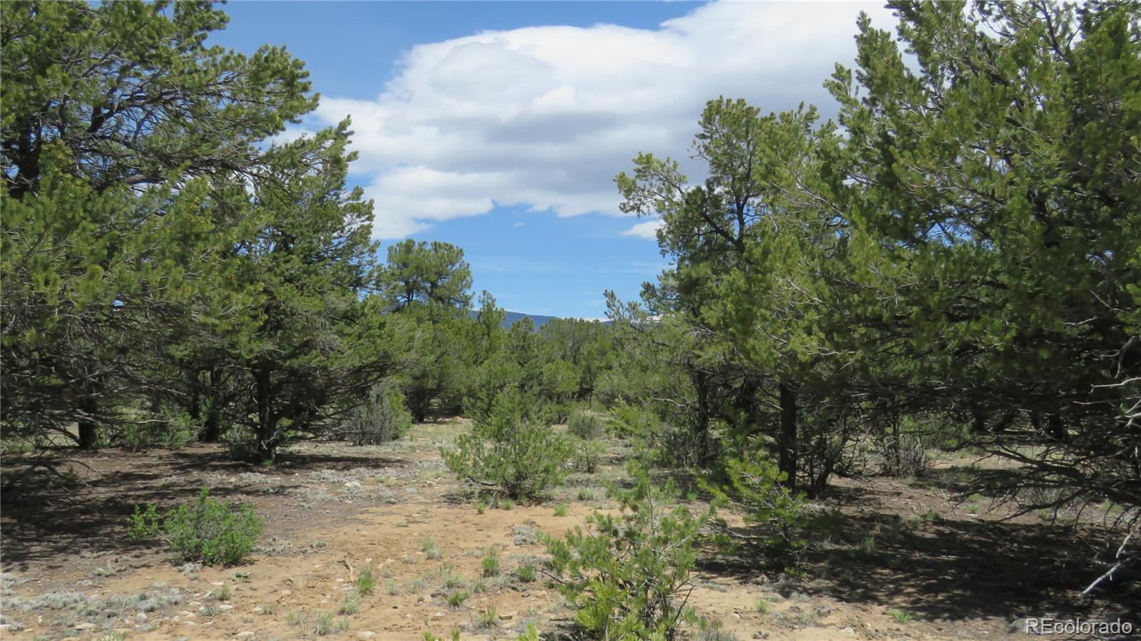28922 Timber Ridge Buena Vista CO 81211