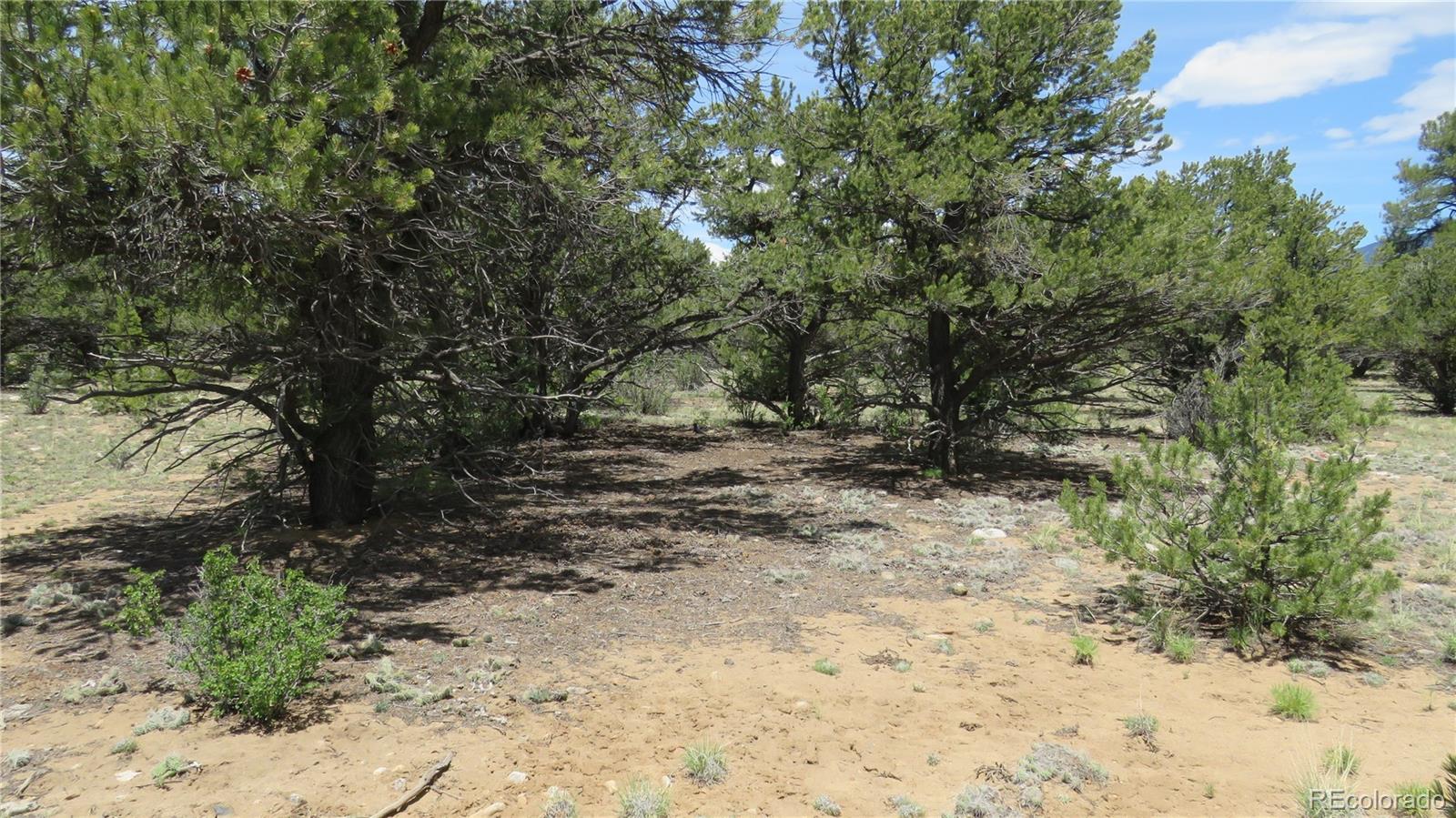 28922 Timber Ridge Buena Vista CO 81211